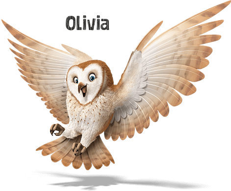 Olivia The Owl