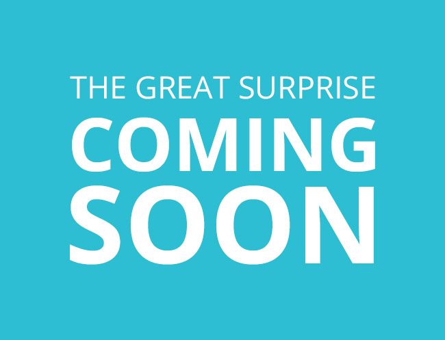 best 28 great surprises for thank you for the great best 28 great surprises for thank you for the great