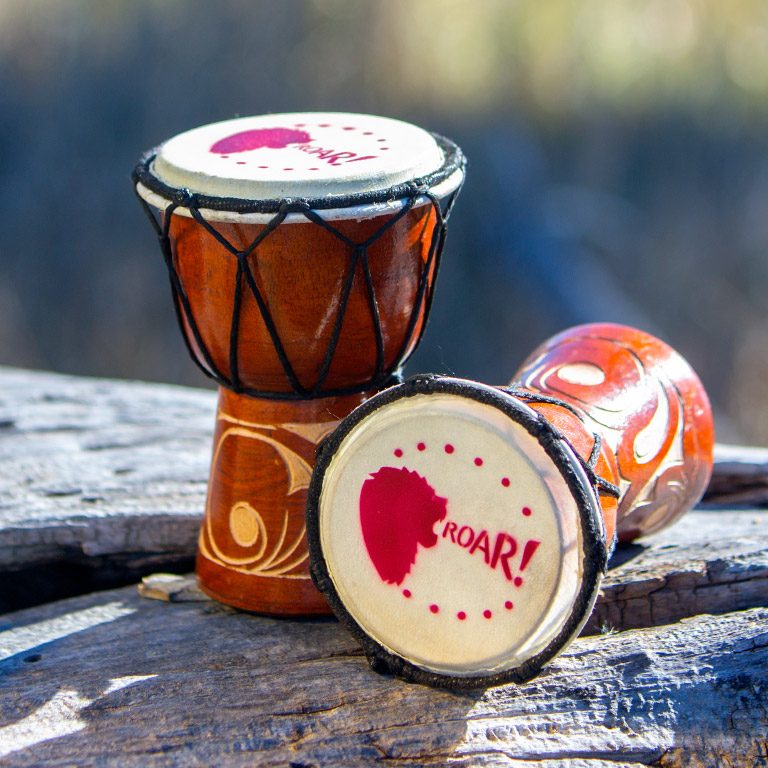 Roar VBS Drum