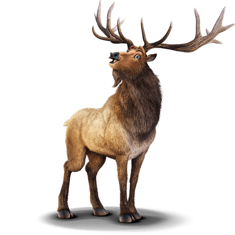 Lawrence