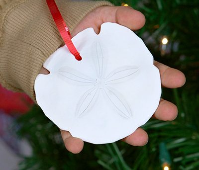 child holding a sand dollar