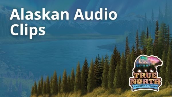 Alaskan Audio Clips