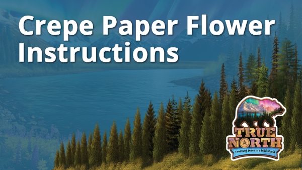 Crepe Paper Flower Instructions