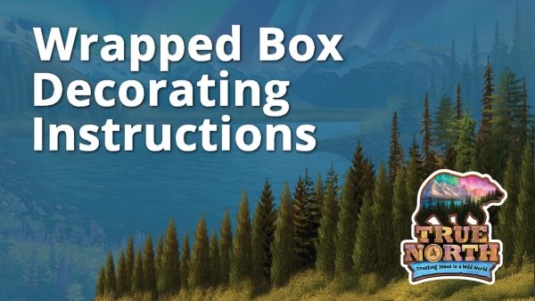 Wrapped Box Decorating Instructions