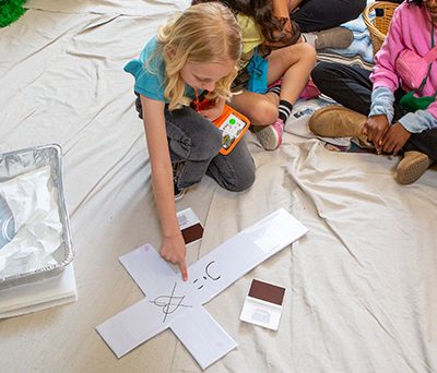 Rooted Bible Adventures at Rainforest Falls VBS