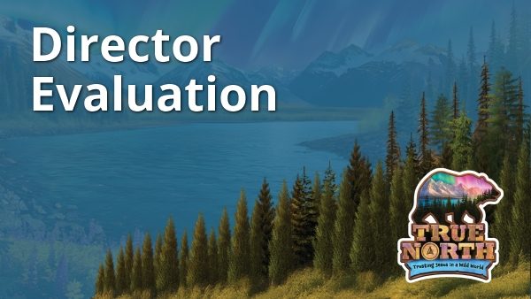Director Evaluation