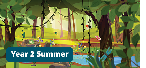 Team Year 2 Summer Spring Insta-Theme Fabric Backdrops