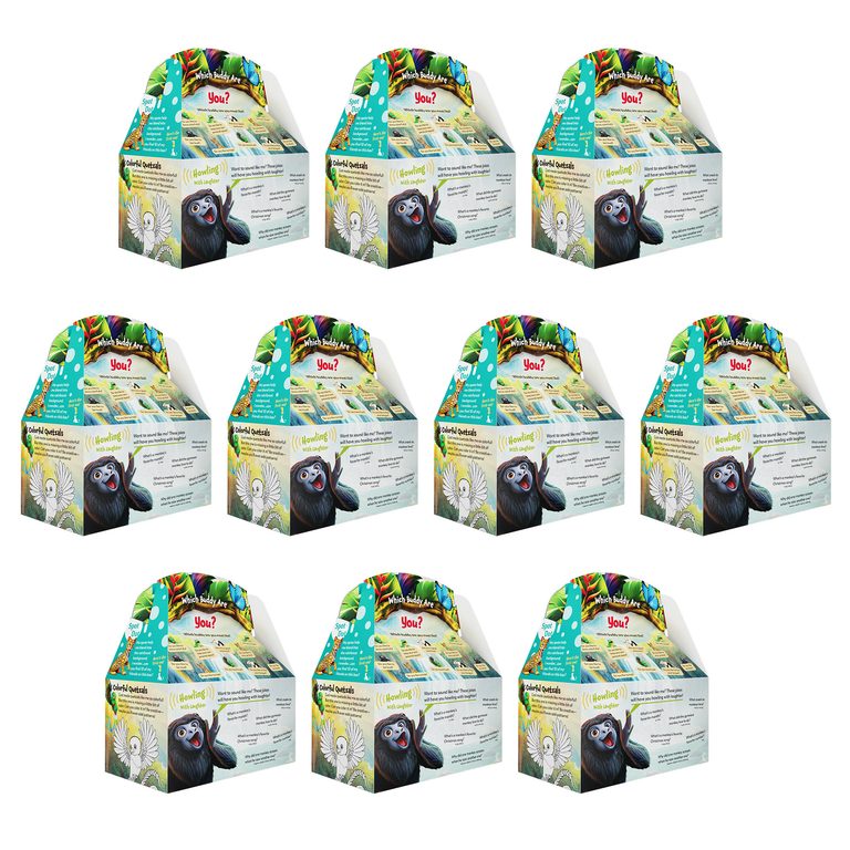 Rainforest Falls VBS Paper Boxes (pkg of 10)