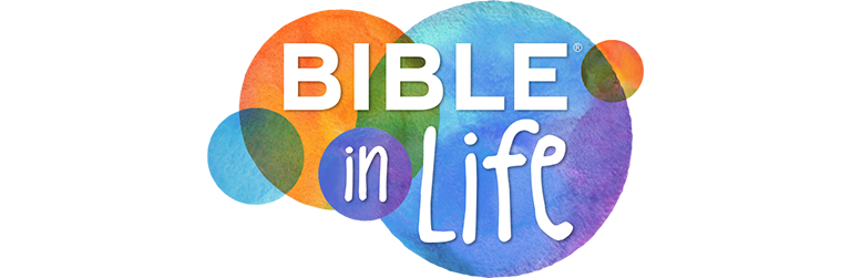 Bible in Life Curriculum