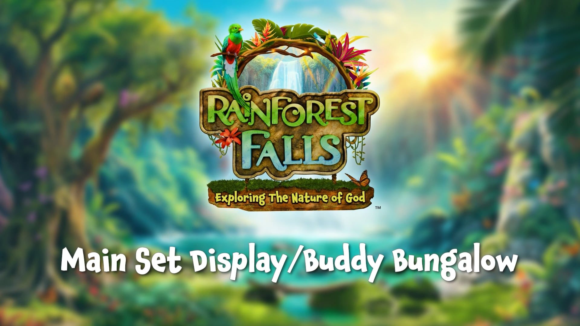 Main Set Display Assembly