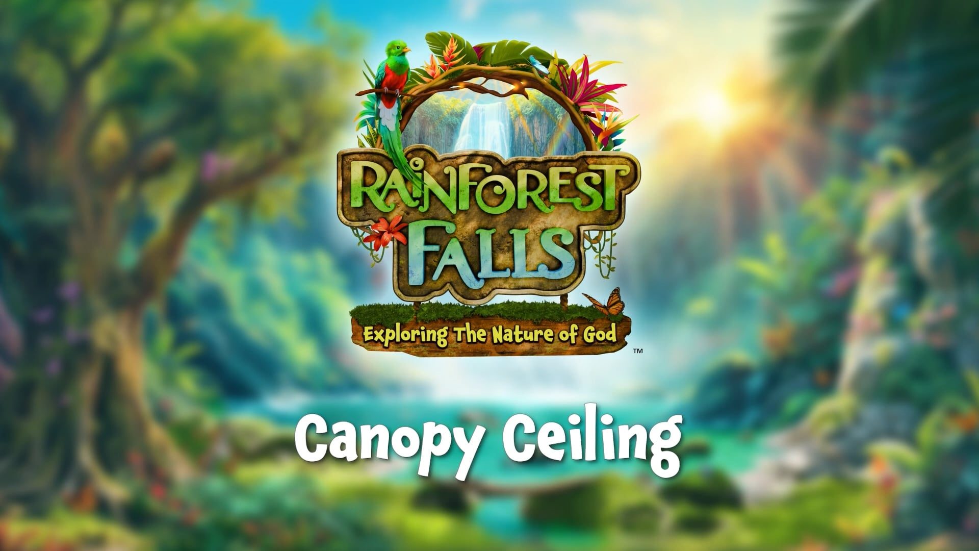 Canopy Ceiling Decorating Video