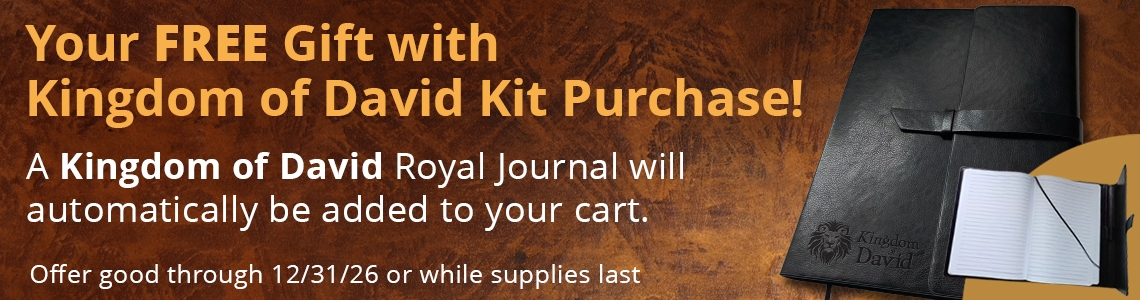 Kingdom of David VBS Special Gift Offer