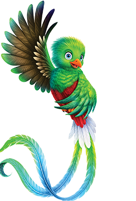 Bird