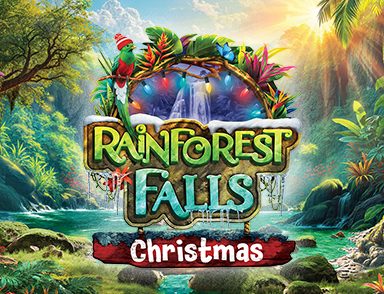 Rainforest Falls Christmas Event